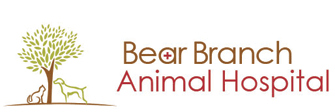 Link to Homepage of Bear Branch Animal Hospital