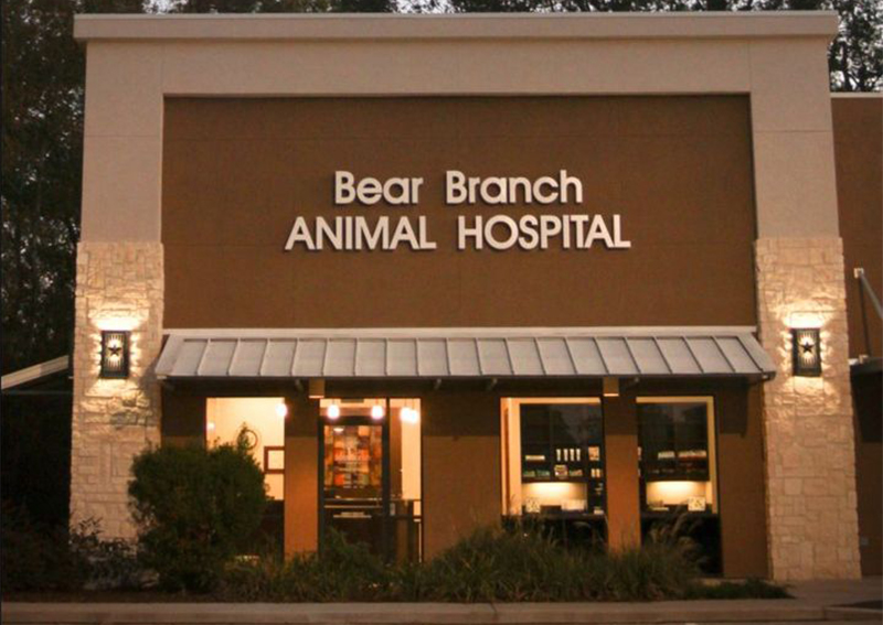 Carousel Slide 4: Bear Branch Animal Hospital, Bear Branch